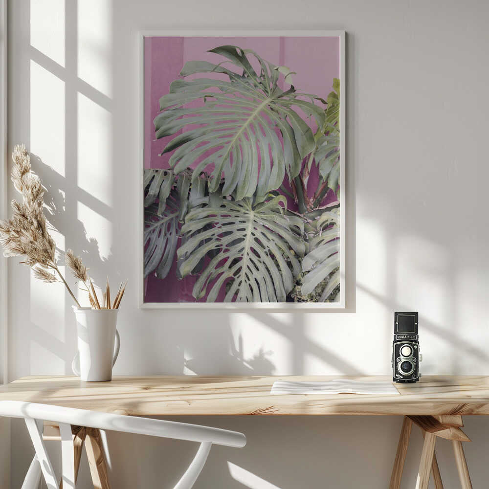Monstera leaf La Muralla Poster