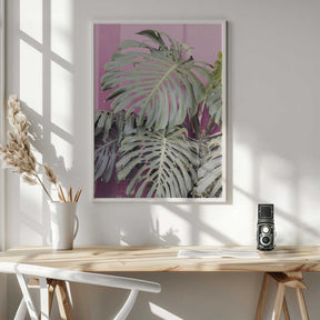 Monstera leaf La Muralla Poster