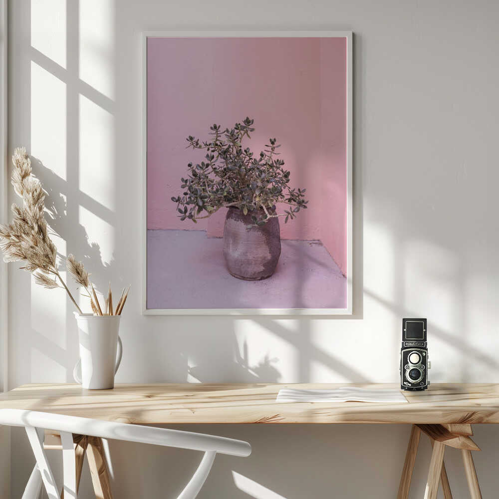 Spanish Rustic Succulent Poster