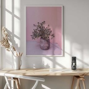 Spanish Rustic Succulent Poster