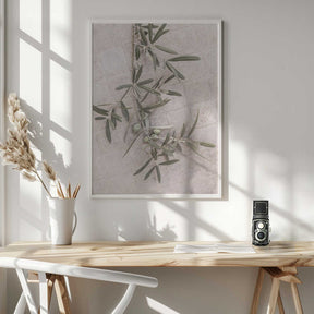 Spanish Tiles Poster