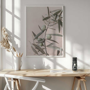 Olives Poster