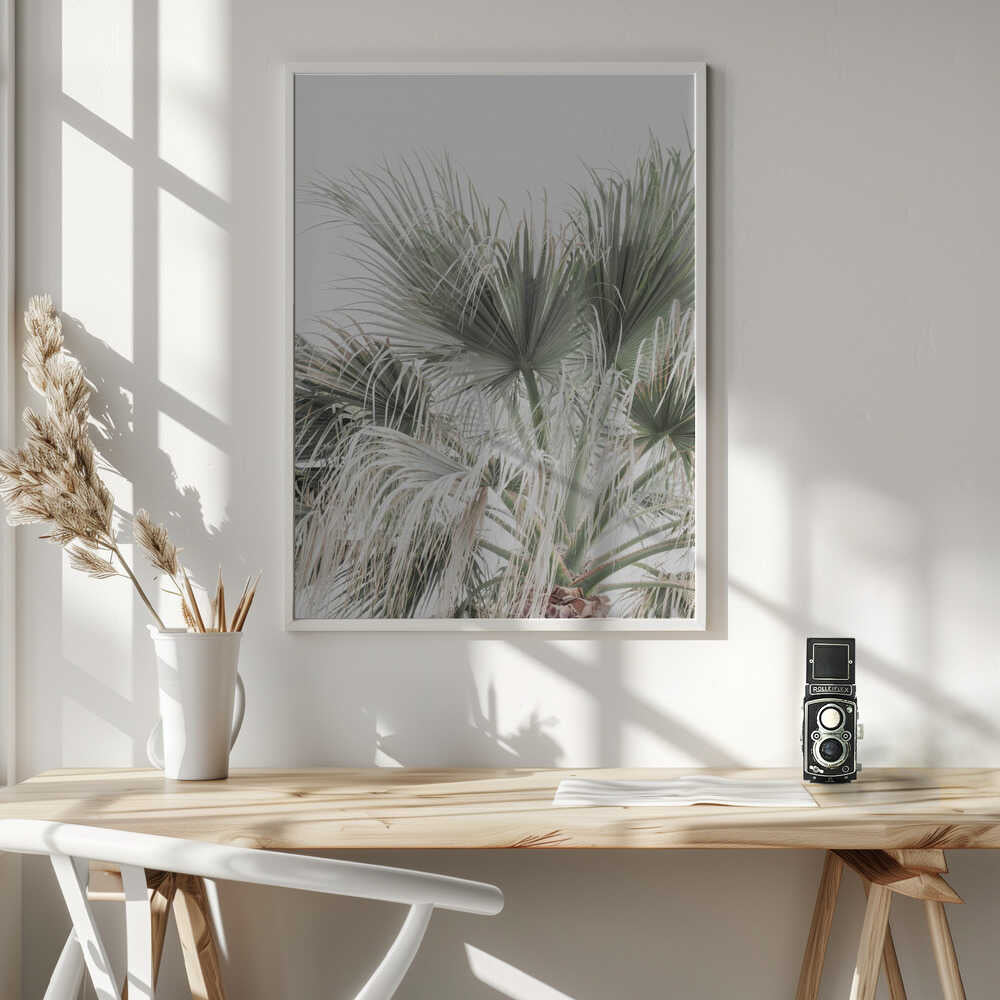 Palm Leaf Poster