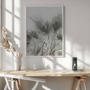 Palm Leaf Poster