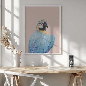 Blue Macaw Poster