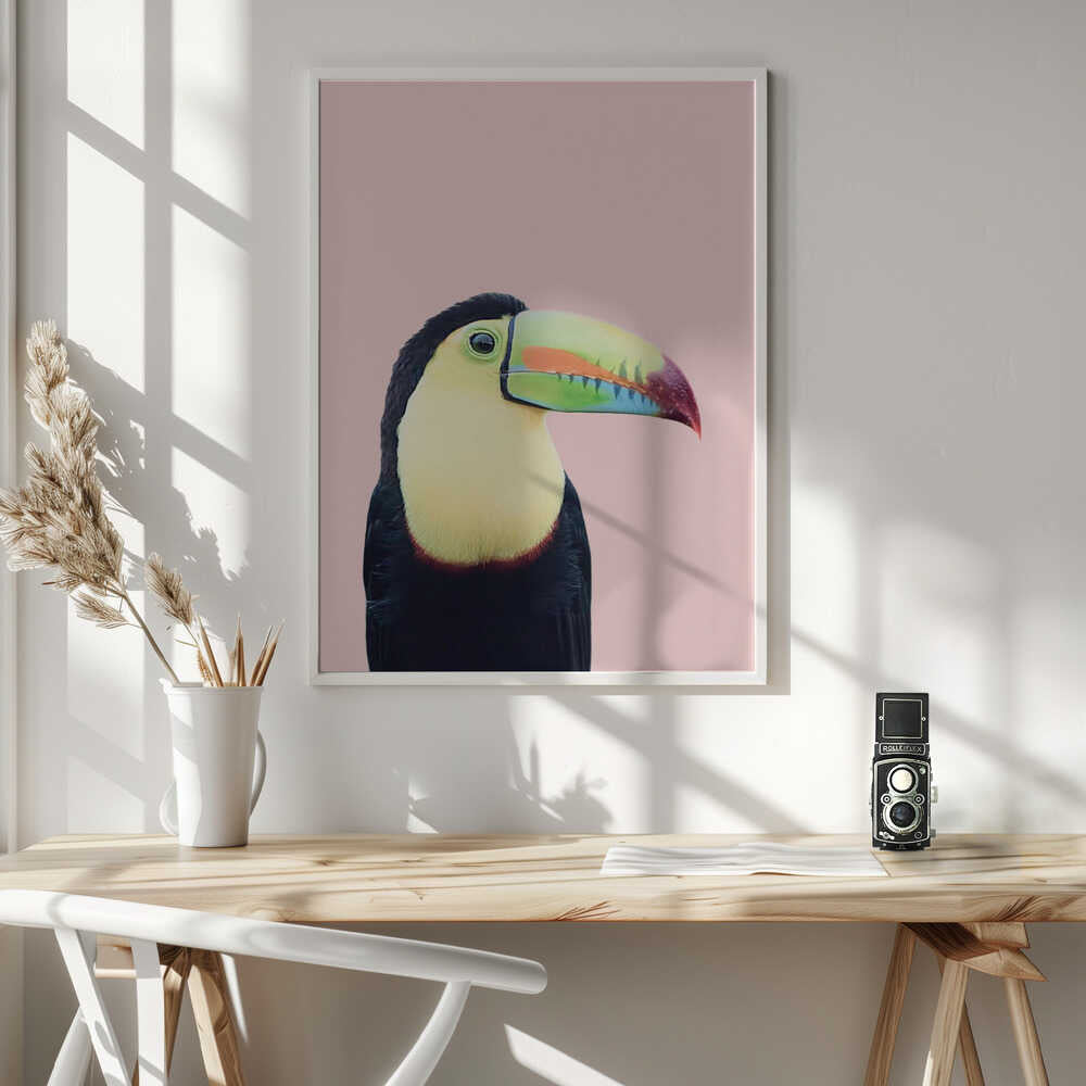 Toucan on Pink Poster