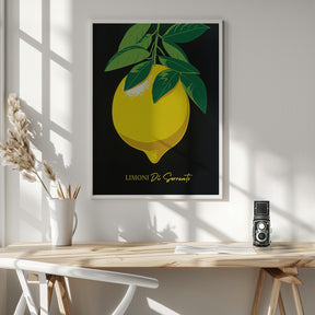 Limoni Di Sorrento Poster