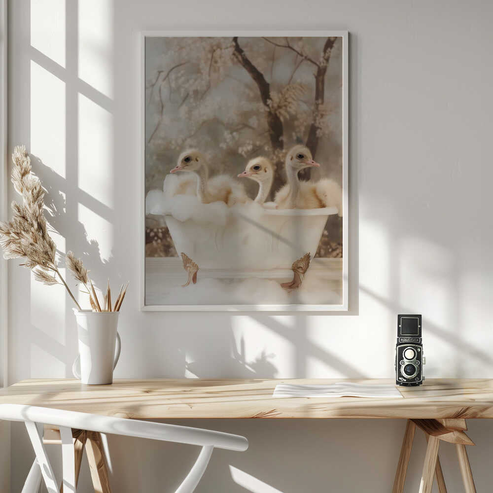 Bubbly Ostrich Trio Poster