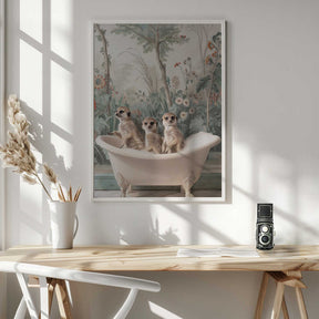 Meerkat Bath Time Fun Poster