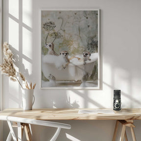 Meerkat Bubble Bath Poster