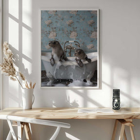 Seal Soak Poster