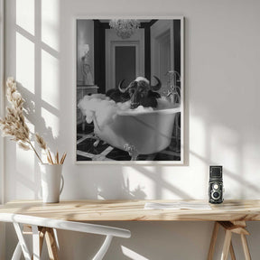 Curious Buffelo In the Tub Poster