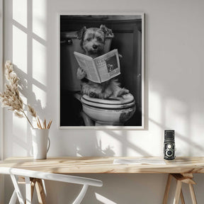 Potty Pooch Poster
