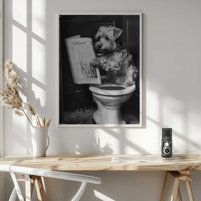 Doggy Doing A Doo Doo Poster