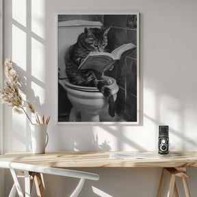 Literary Litter Box Poster
