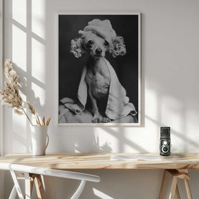 Spa Day Pooch Poster