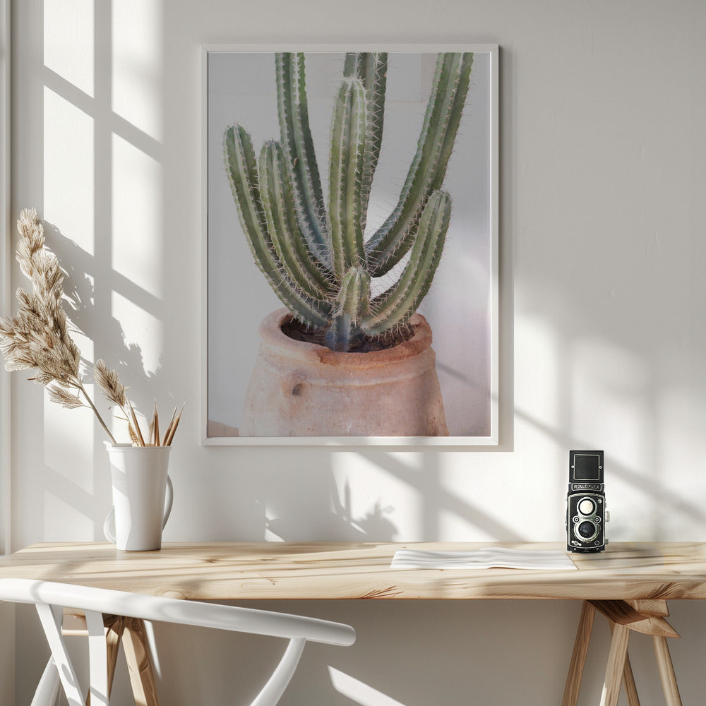 Prickly Poster