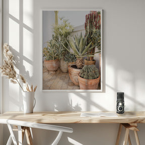 Cacti Poster