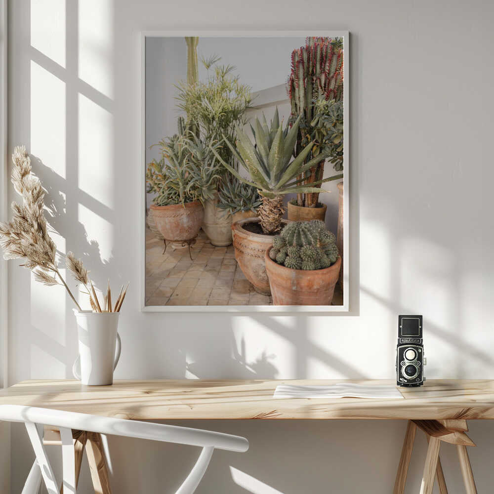 Garden with Various Potted Succulents and Cacti Poster