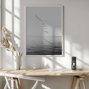 Flying Birds Poster