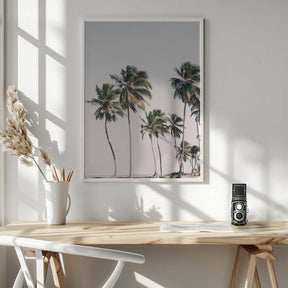 Blush Tropical Trees Poster
