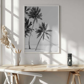 Island Poster