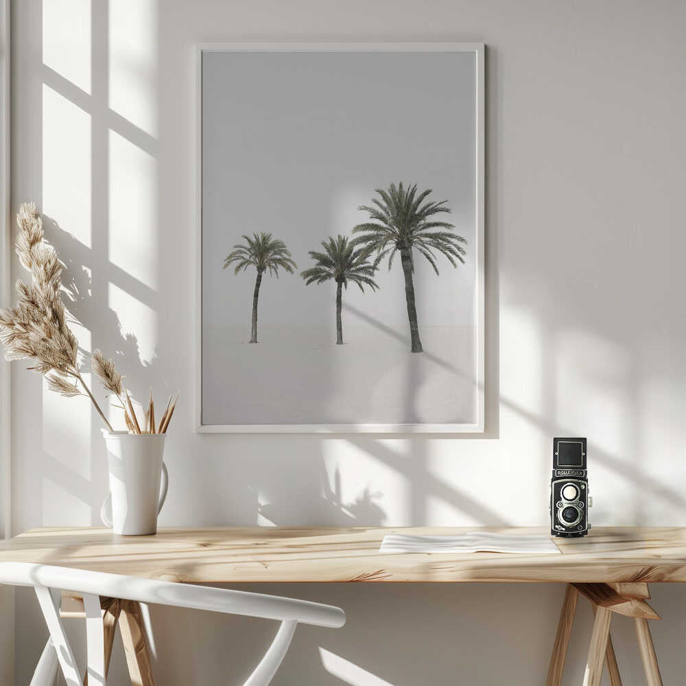 Palms Poster