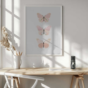 Butterfly 4 Poster