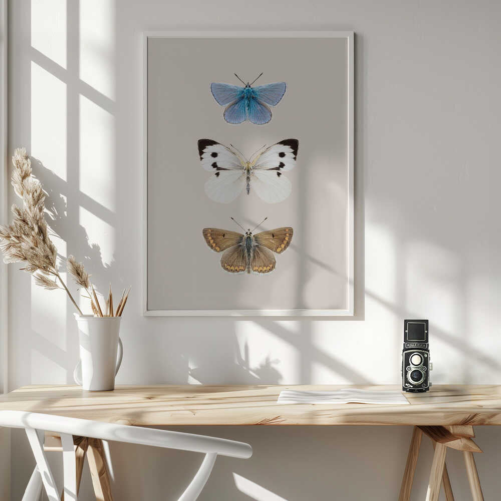 English Butterlies 2 Poster