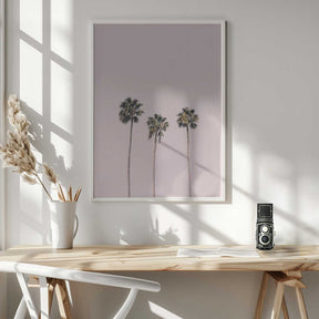 Palms On Pink Poster