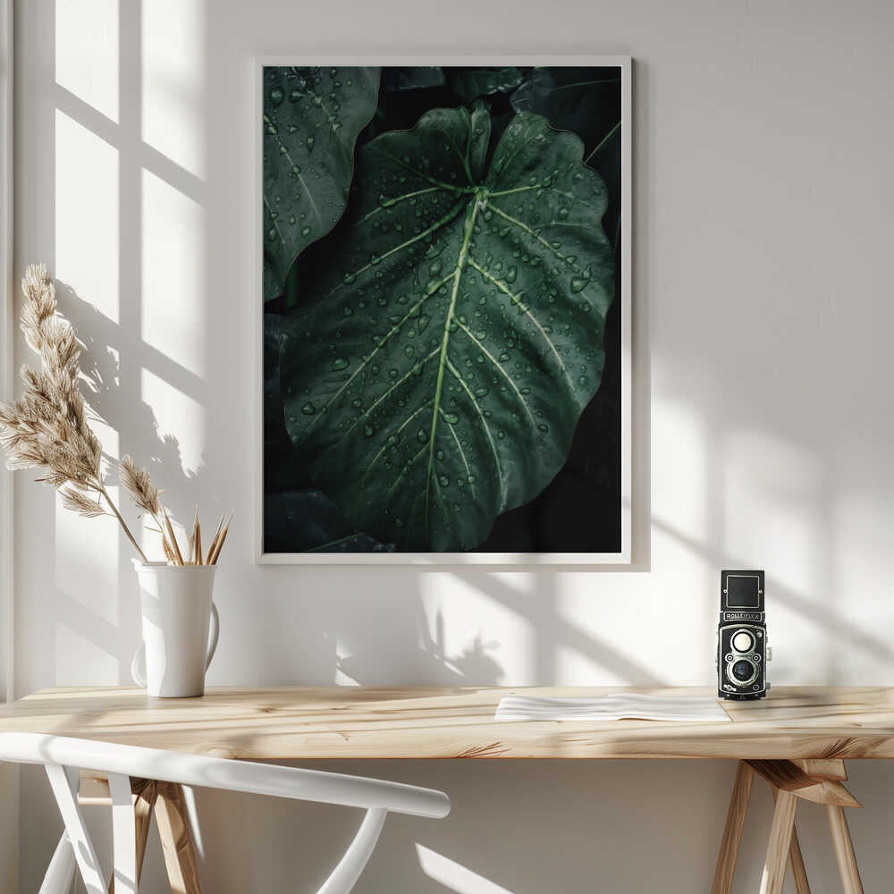 Rain Kissed Leaves Poster