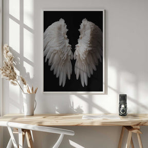 White Wings Poster