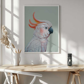 White Cockatoo No 1 Poster