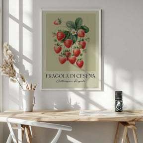 Fragola Di Cesena Poster