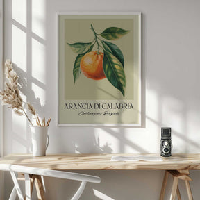 Arancia Di Calabria Poster