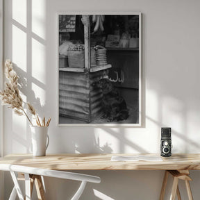 Market Day Watch Poster