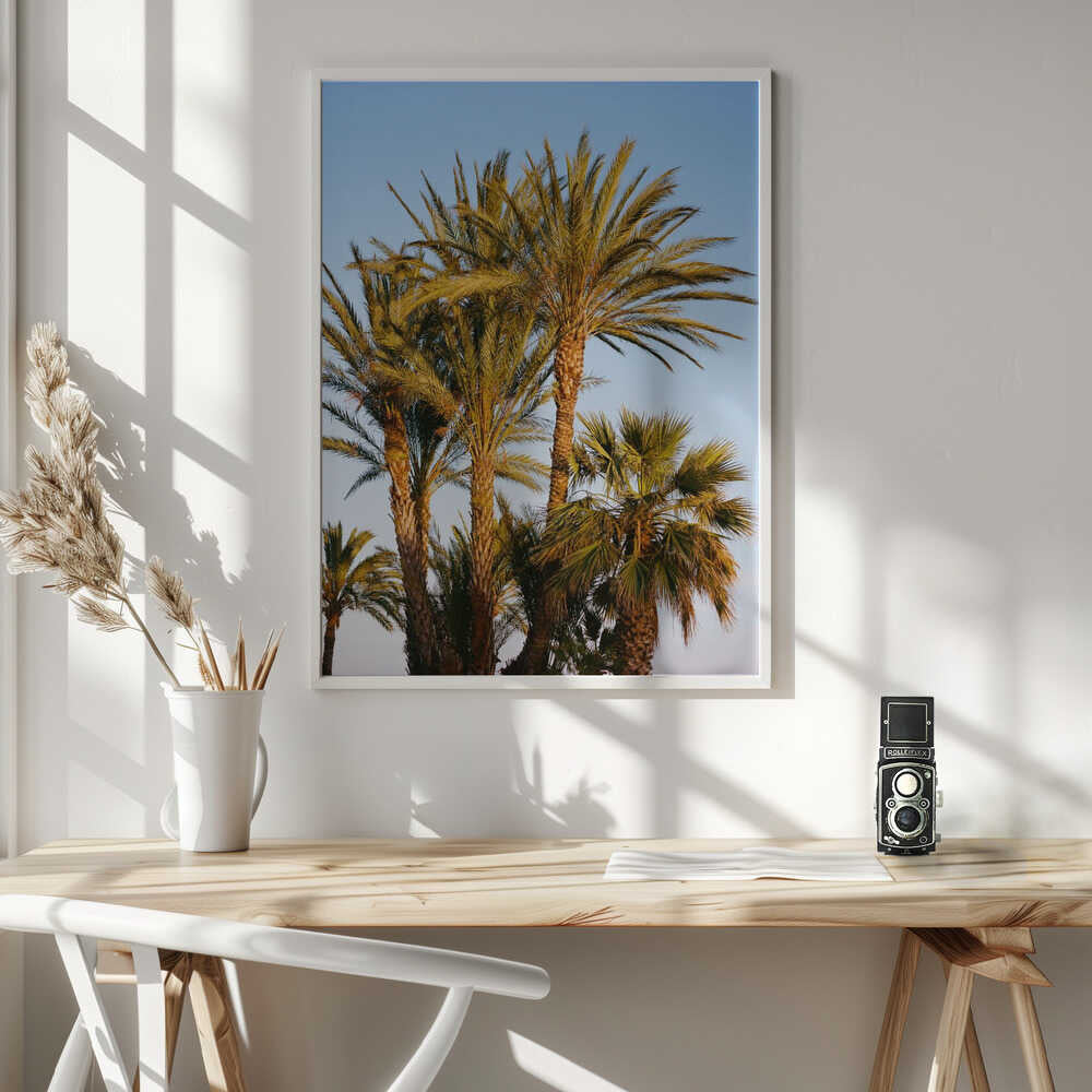 Nice France V on Film Poster