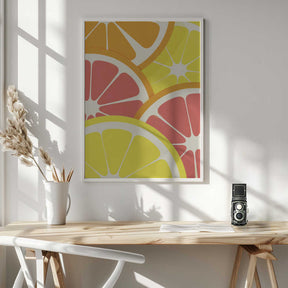 Citrus Slices Poster