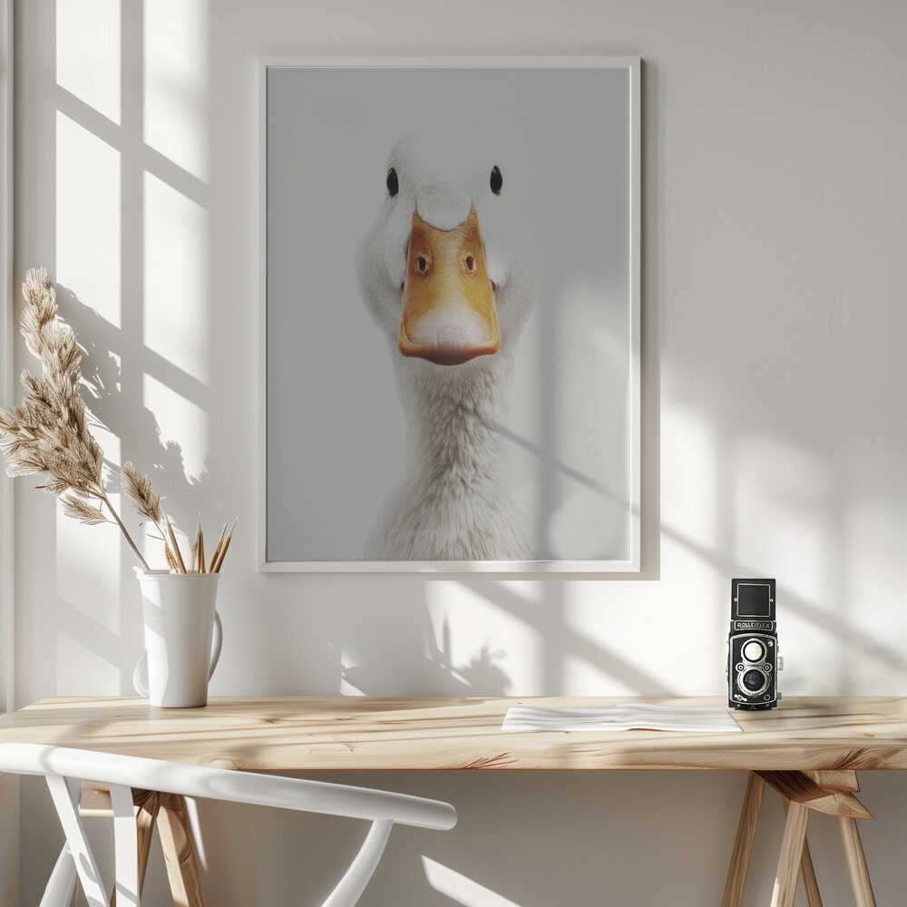 The White Duck Poster