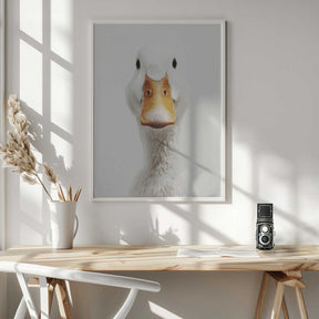 The White Duck Poster