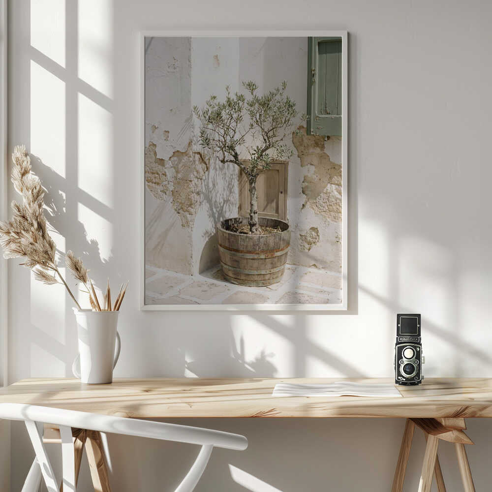 Small Olive Tree In a Wooden Barrel Poster