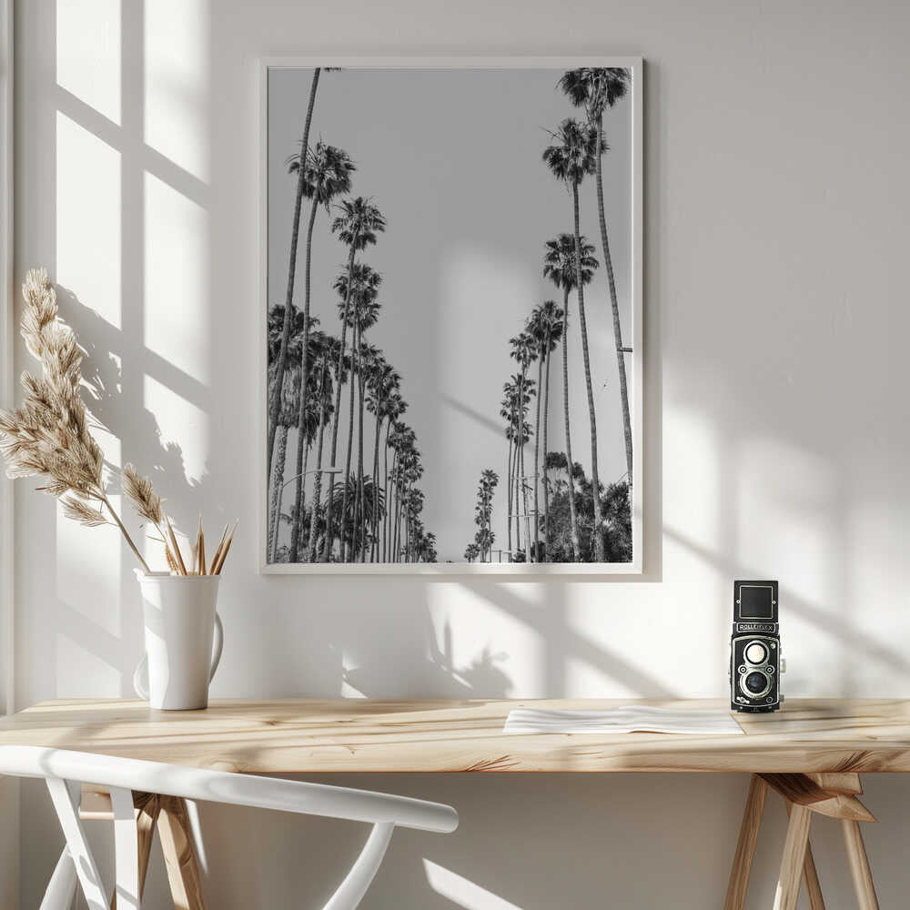 Palm Alley Poster