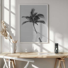 Palm Surfboard Poster