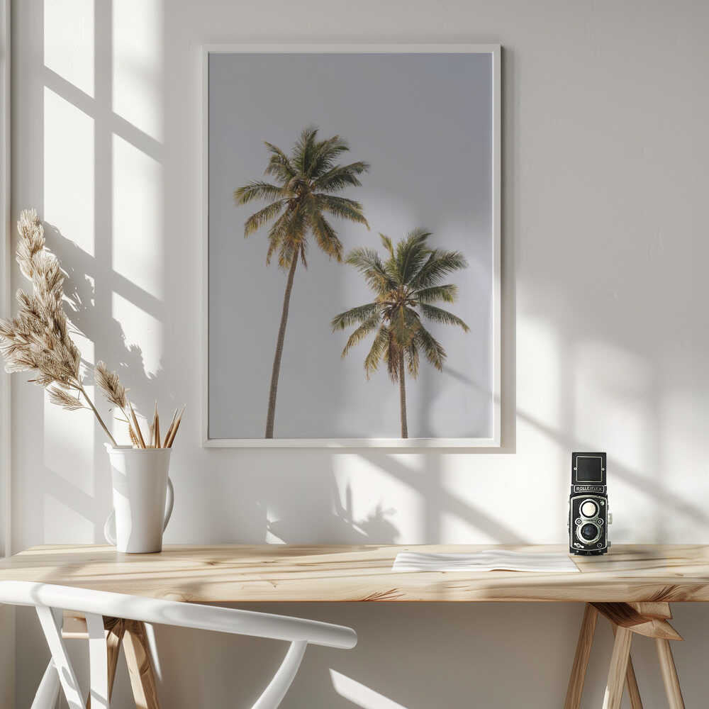 Palm Trees Poster