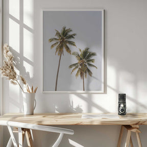 Palm Trees Poster