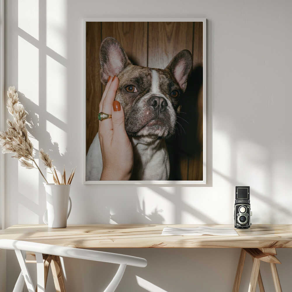 Petting a Frenchie Poster