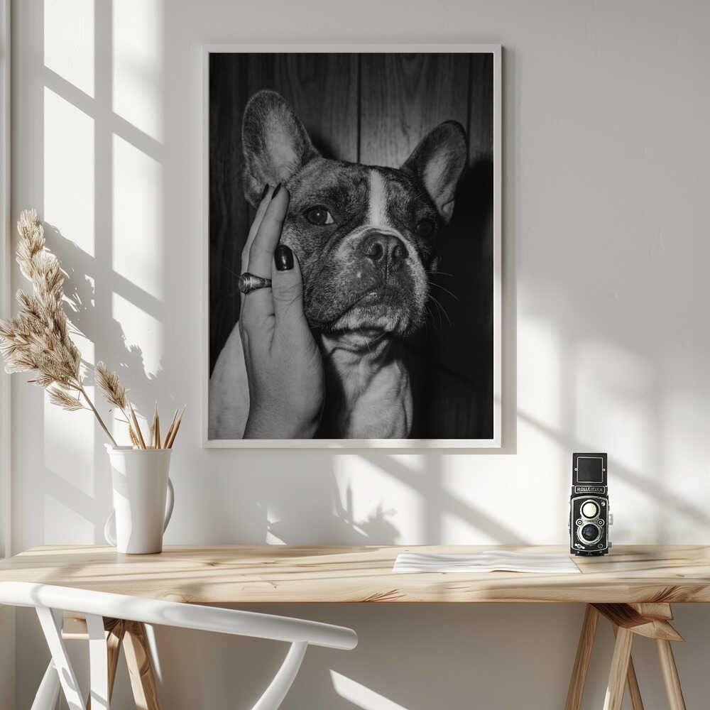 Petting a Frenchie Poster