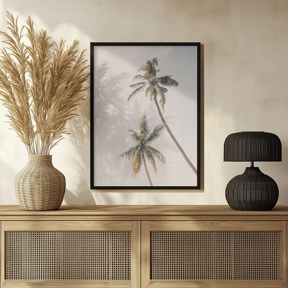 Tropical Palms Poster