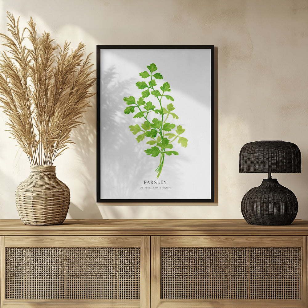 Parsley I Poster