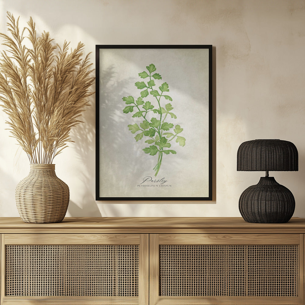 Parsley vintage Poster